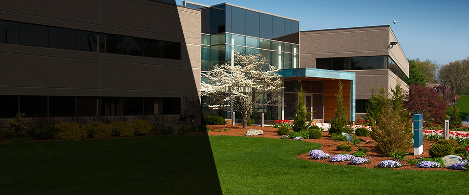 Lake Wales Landscapers