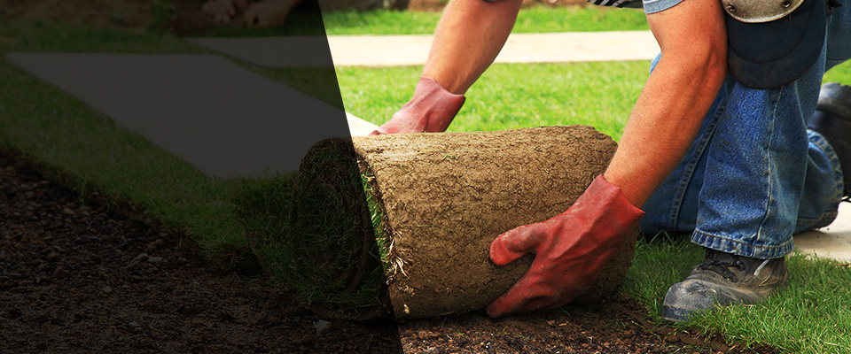 Lake Wales Landscapers